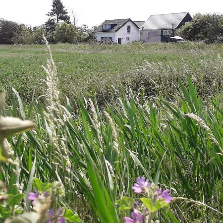 Appartamento In De Boomgaard Burgh-Haamstede Esterno foto