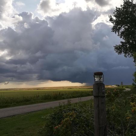 Appartamento In De Boomgaard Burgh-Haamstede Esterno foto