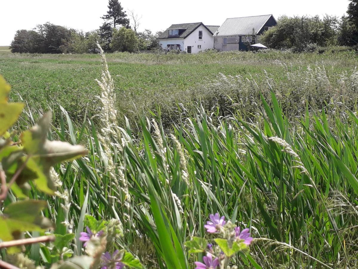 Appartamento In De Boomgaard Burgh-Haamstede Esterno foto