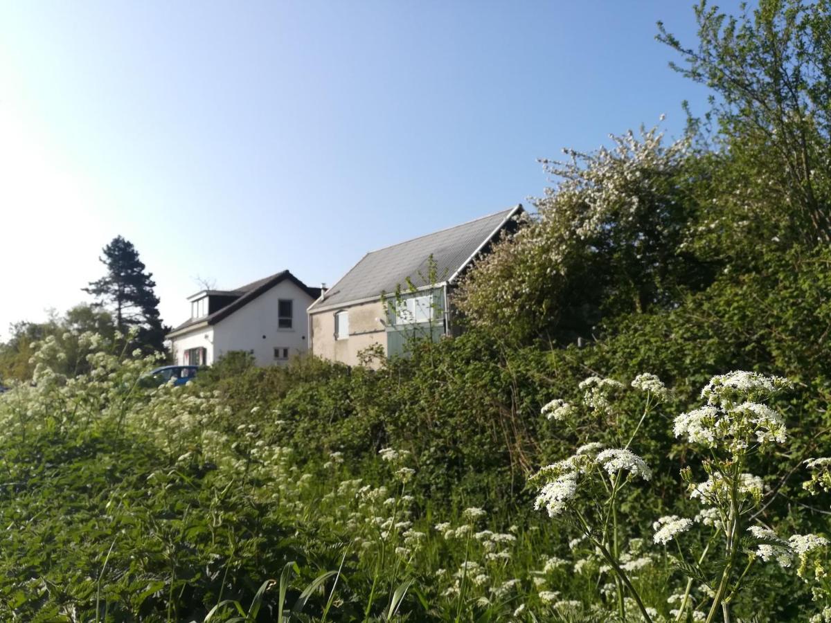 Appartamento In De Boomgaard Burgh-Haamstede Esterno foto