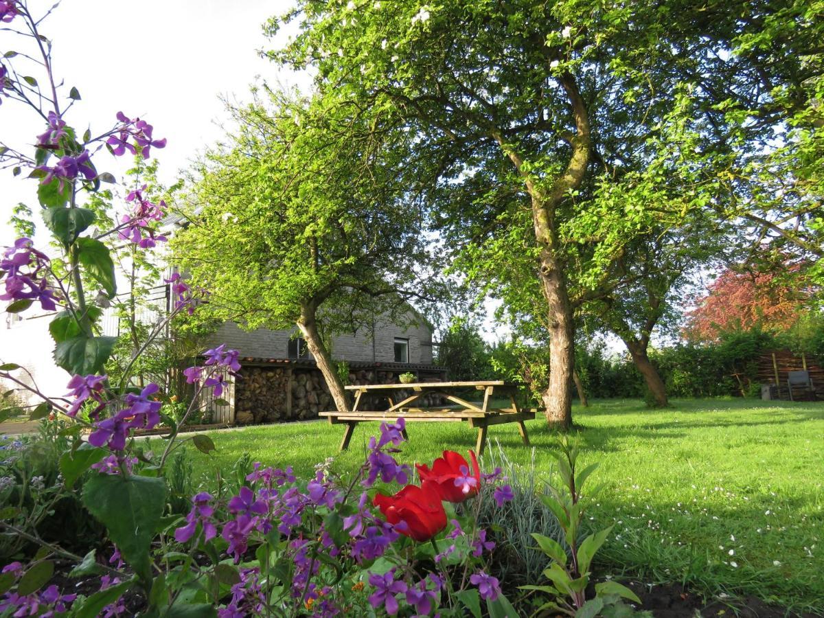Appartamento In De Boomgaard Burgh-Haamstede Esterno foto